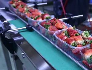 Picture of plastic for Packaging and Conveying Equipment